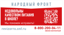 Народный Ревизорро. Проект по защите прав детей в детских садах и школах.